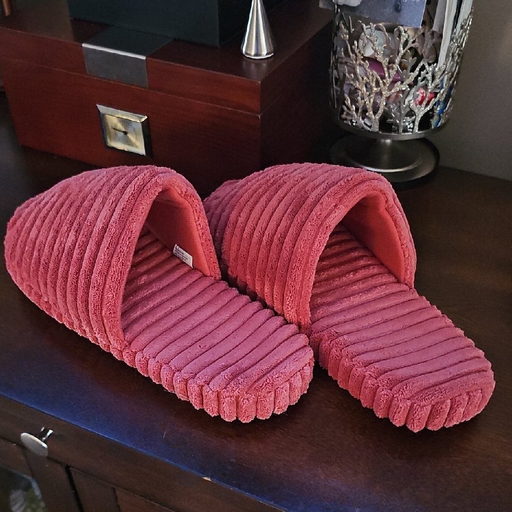 Cozy Slippers (L 8/9)
